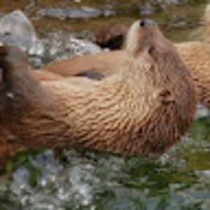 Meet your Posher, Katelyn